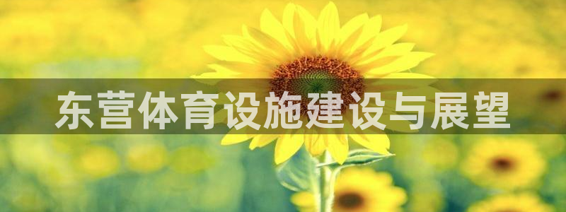 意昂4集团E.ON：东营体育设施建设与展望