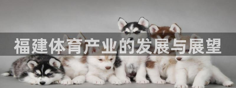 意昂4新能源：福建体育产业的发展与展望