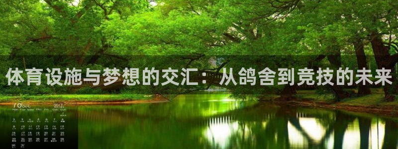 意昂体育4招商电话号码查询是多少：体育设施与梦想的交