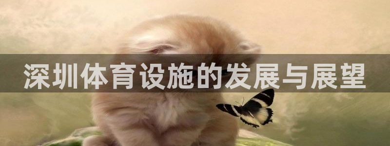 意昂4娱乐代理怎么样：深圳体育设施的发展与展望