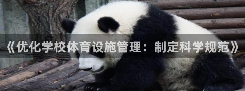 意昂体育4招商电话地址：《优化学校体育设施管理：制定