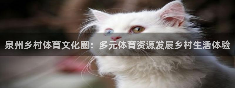 意昂4娱乐网站：泉州乡村体育文化圈：多元体育资源发展