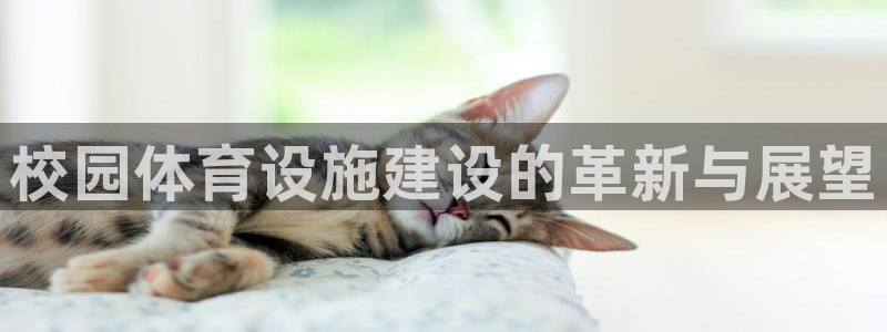 意昂体育4招商电话号码：校园体育设施建设的革新与展望