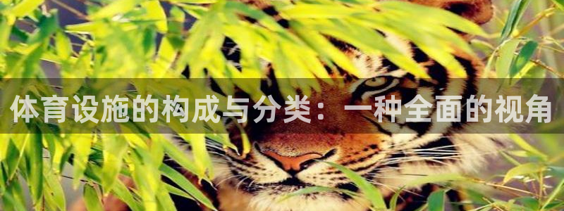 意昂体育4平台注册流程视频：体育设施的构成与分类：一