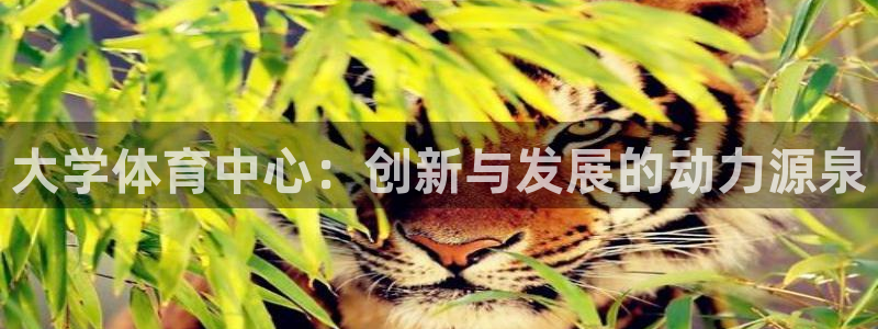 意昂4娱乐40996：大学体育中心：创新与发展的动力
