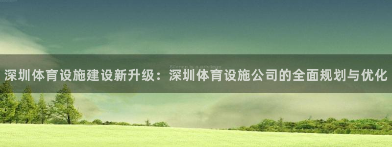 意昂4官网：深圳体育设施建设新升级：深圳体育设施公司