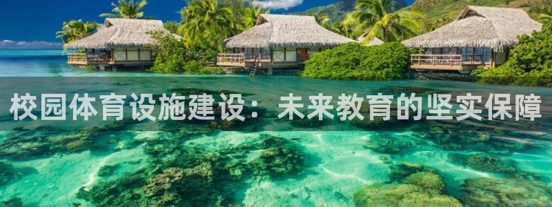 意昂体育4平台注册要钱吗安全吗：校园体育设施建设：未