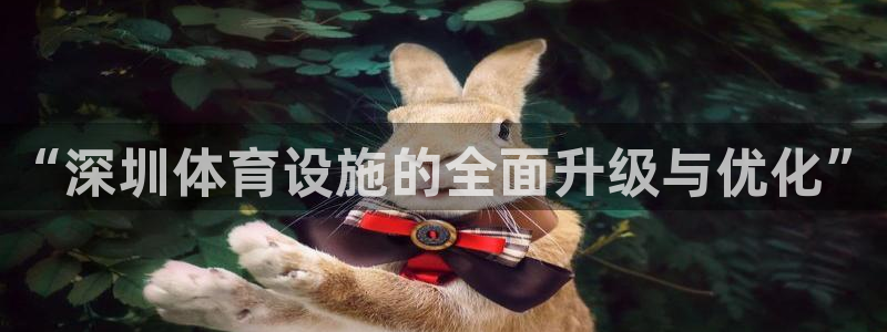 意昂体育4平台假的吗是真的吗吗：“深圳体育设施的全面