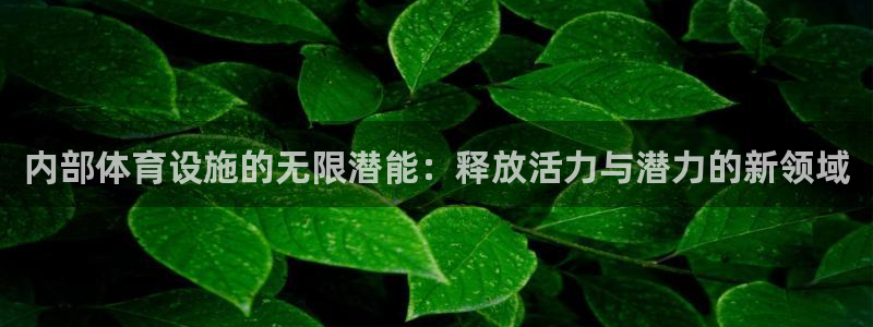 意昂4神州：内部体育设施的无限潜能：释放活力与潜力的