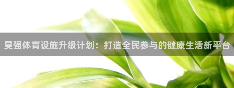 意昂4娱乐40996：昊强体育设施升级计划：打造全民