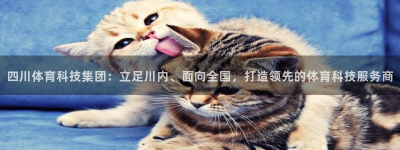 意昂体育4招商电话：四川体育科技集团：立足川内、面向