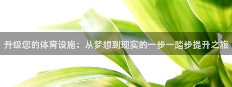 意昂体育4平台APP：升级您的体育设施：从梦想到现实