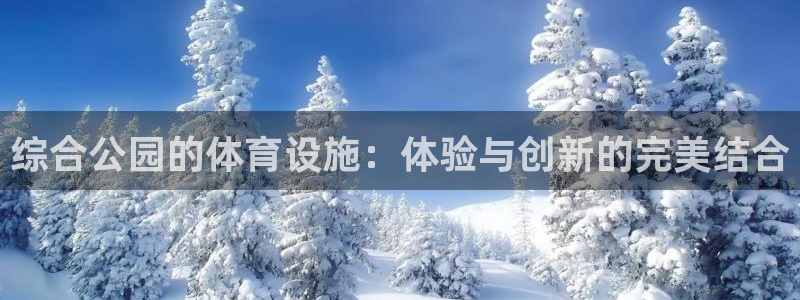 意昂4代理：综合公园的体育设施：体验与创新的完美结合