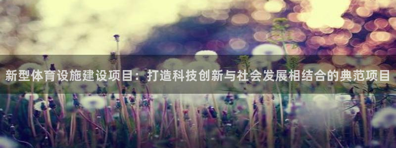 意昂体育4平台是正规平台吗知乎：新型体育设施建设项目