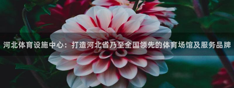 意昂体育4招商：河北体育设施中心：打造河北省乃至全国