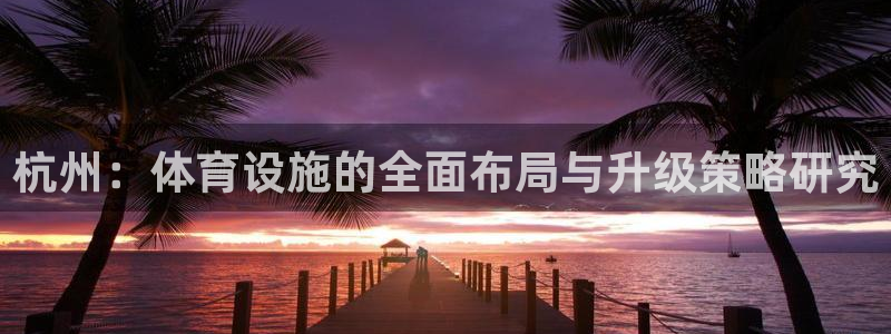 意昂体育4注册：杭州：体育设施的全面布局与升级策略研