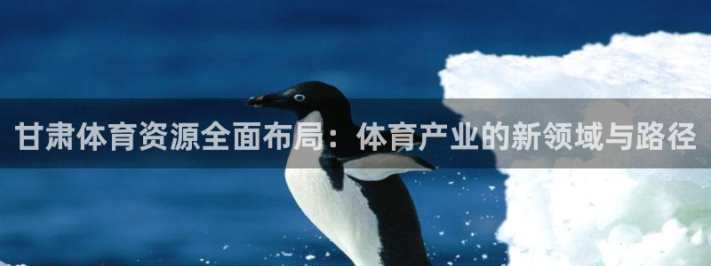 意昂体育4平台是正规平台吗：甘肃体育资源全面布局：体
