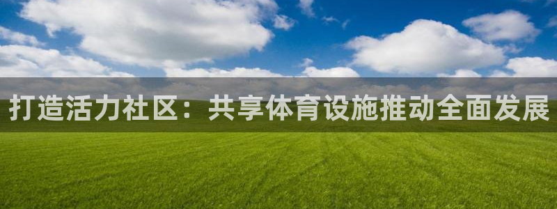 意昂4集团E.ON：打造活力社区：共享体育设施推动全