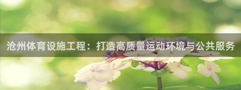 意昂体育4平台注册流程图：沧州体育设施工程：打造高质量运动环