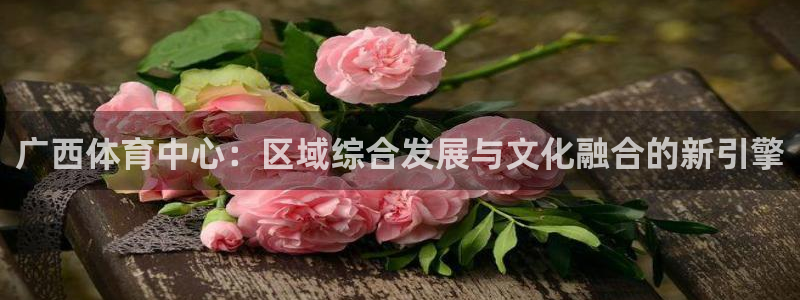 意昂体育4平台注册：广西体育中心：区域综合发展与文化融合的新