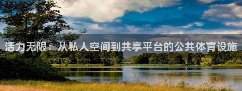 意昂4娱乐首页网站大全：活力无限：从私人空间到共享平台的公共 