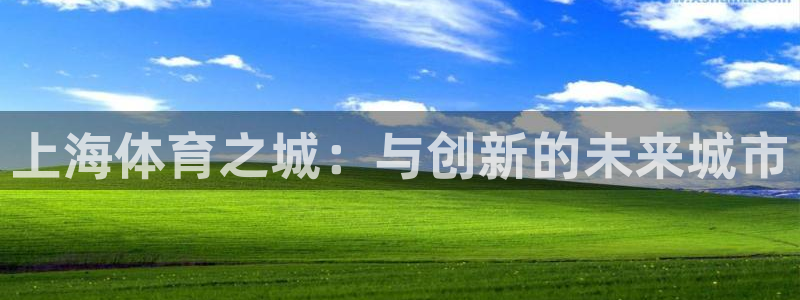 意昂4五金厂：上海体育之城：与创新的未来城市