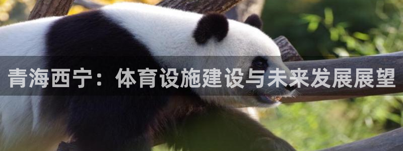 意昂4娱乐代理怎么样：青海西宁：体育设施建设与未来发