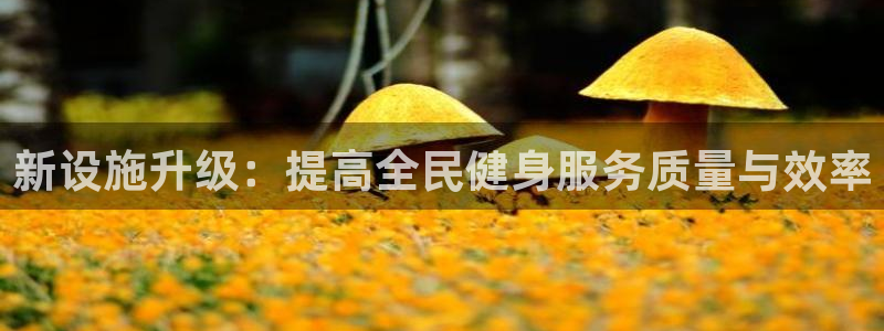 意昂体育4平台注册：新设施升级：提高全民健身服务质量