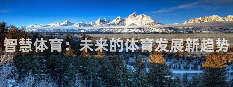 意昂体育4是干嘛的公司：智慧体育：未来的体育发展新趋