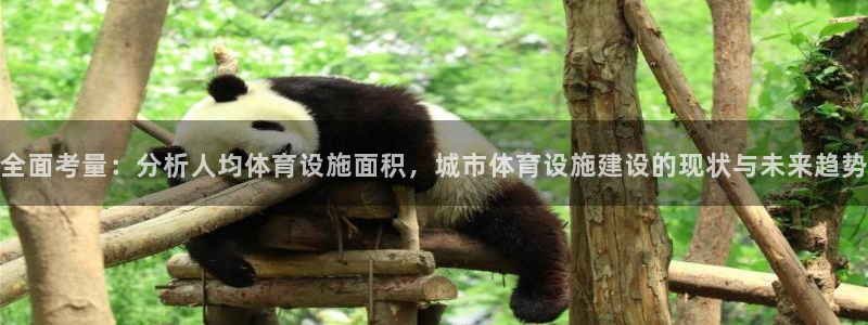 意昂4官网：全面考量：分析人均体育设施面积，城市体育设施建设
