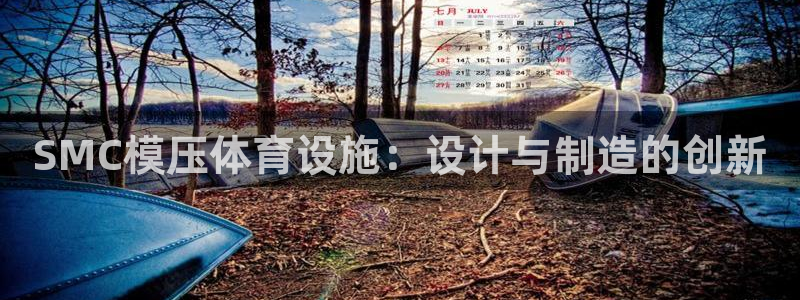 意昂平台体育：SMC模压体育设施：设计与制造的创新 