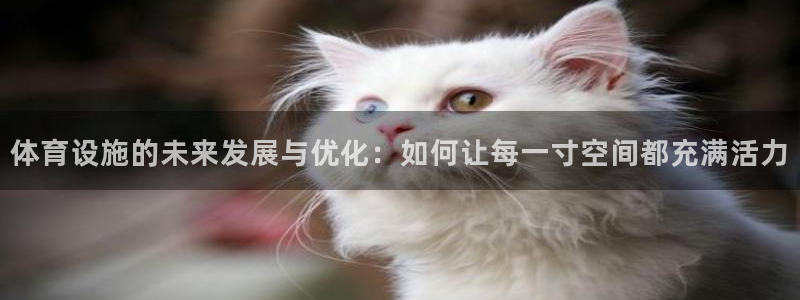 意昂4集团官网首页：体育设施的未来发展与优化：如何让