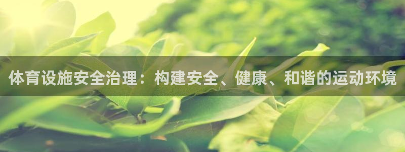 意昂体育4招商电话地址查询：体育设施安全治理：构建安