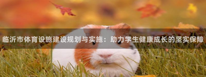 意昂体育4招商电话号码是多少：临沂市体育设施建设规划