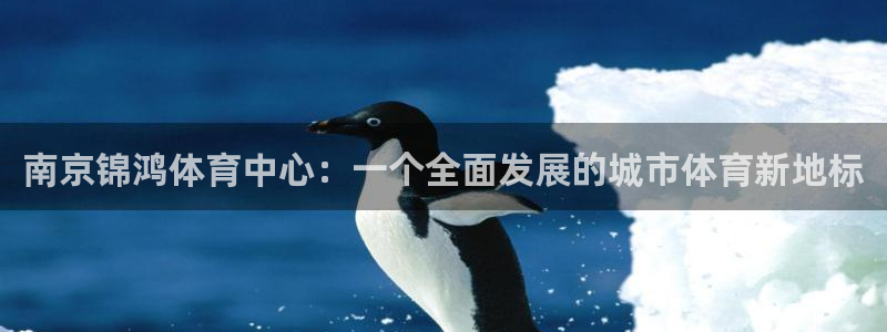 意昂4娱乐网站：南京锦鸿体育中心：一个全面发展的城市