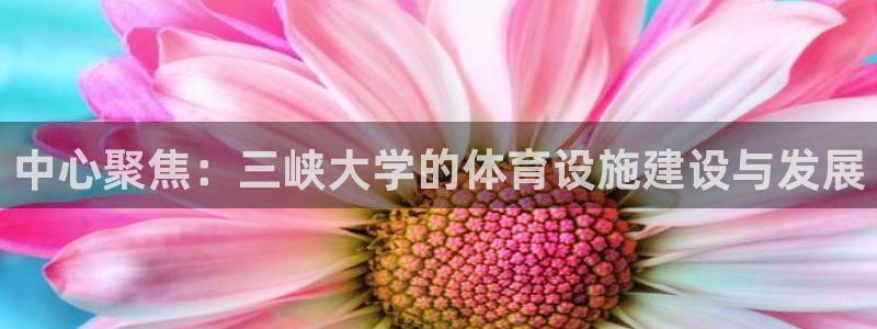 意昂体育4平台注册流程图：中心聚焦：三峡大学的体育设施建设与