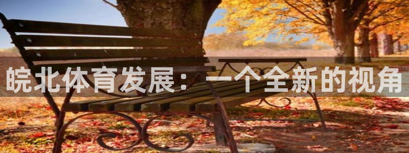 意昂体育4平台假的吗是真的吗：皖北体育发展：一个全新
