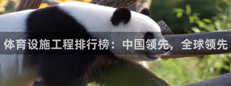 意昂4集团简介：体育设施工程排行榜：中国领先，全球领
