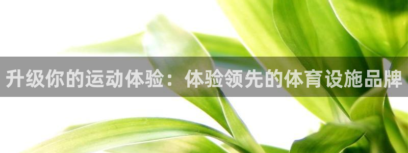 海南意昂体育4发展怎么样：升级你的运动体验：体验领先