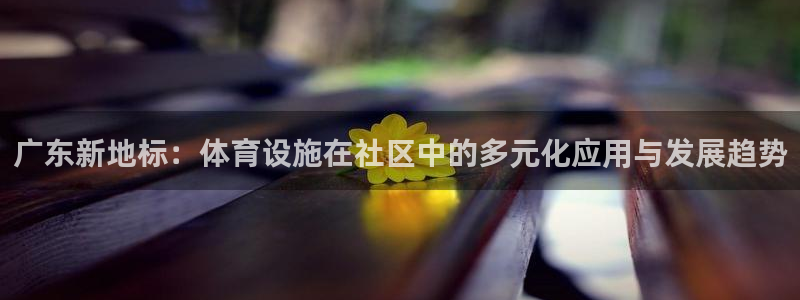意昂4官方：广东新地标：体育设施在社区中的多元化应用