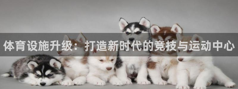 意昂4娱乐下载：体育设施升级：打造新时代的竞技与运动