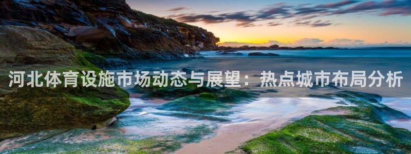 意昂体育4招商电话：河北体育设施市场动态与展望：热点