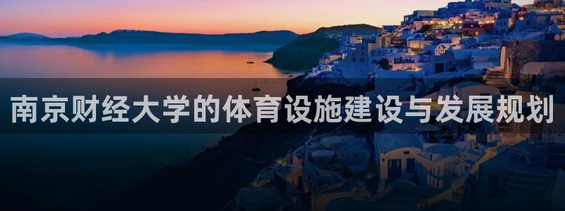 意昂4集团E.ON：南京财经大学的体育设施建设与发展