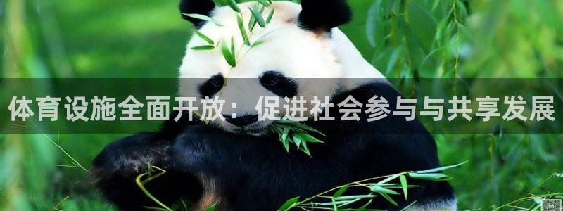 意昂4集团logo：体育设施全面开放：促进社会参与与共享发展