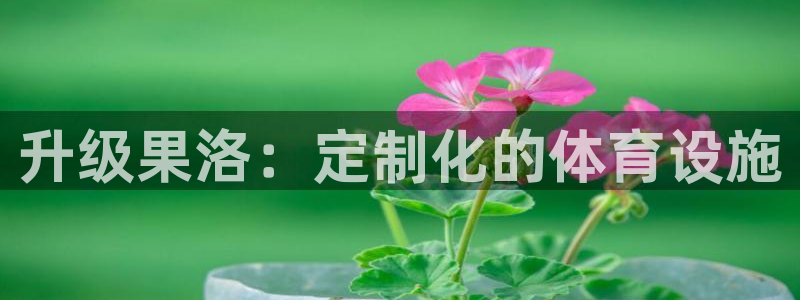 意昂体育4招商电话地址是多少：升级果洛：定制化的体育设施