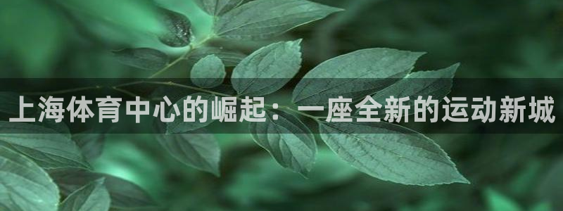 意昂体育4招商电话是多少：上海体育中心的崛起：一座全新的运动