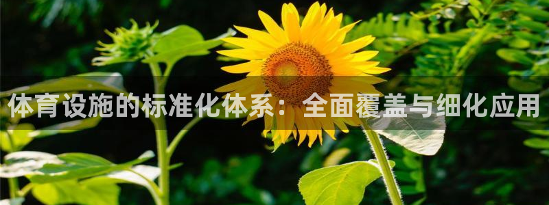 意昂4娱乐平台：体育设施的标准化体系：全面覆盖与细化应用