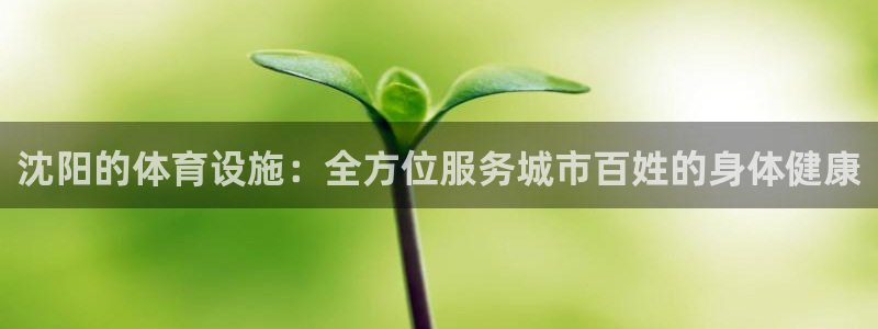 意昂体育4软件：沈阳的体育设施：全方位服务城市百姓的