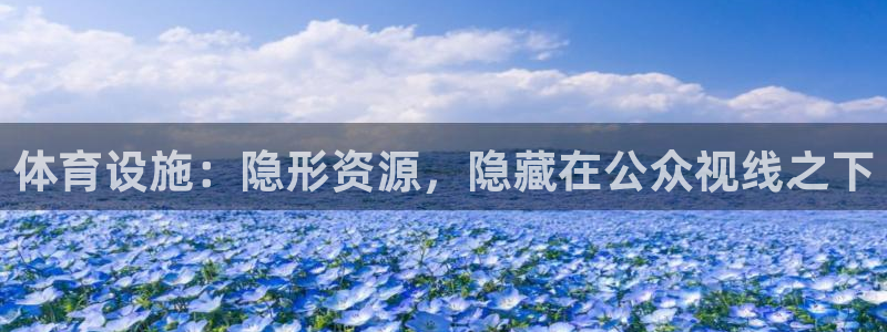 意昂体育4平台注册流程视频：体育设施：隐形资源，隐藏