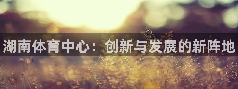 意昂4娱乐是那个系列的台子：湖南体育中心：创新与发展的新阵地